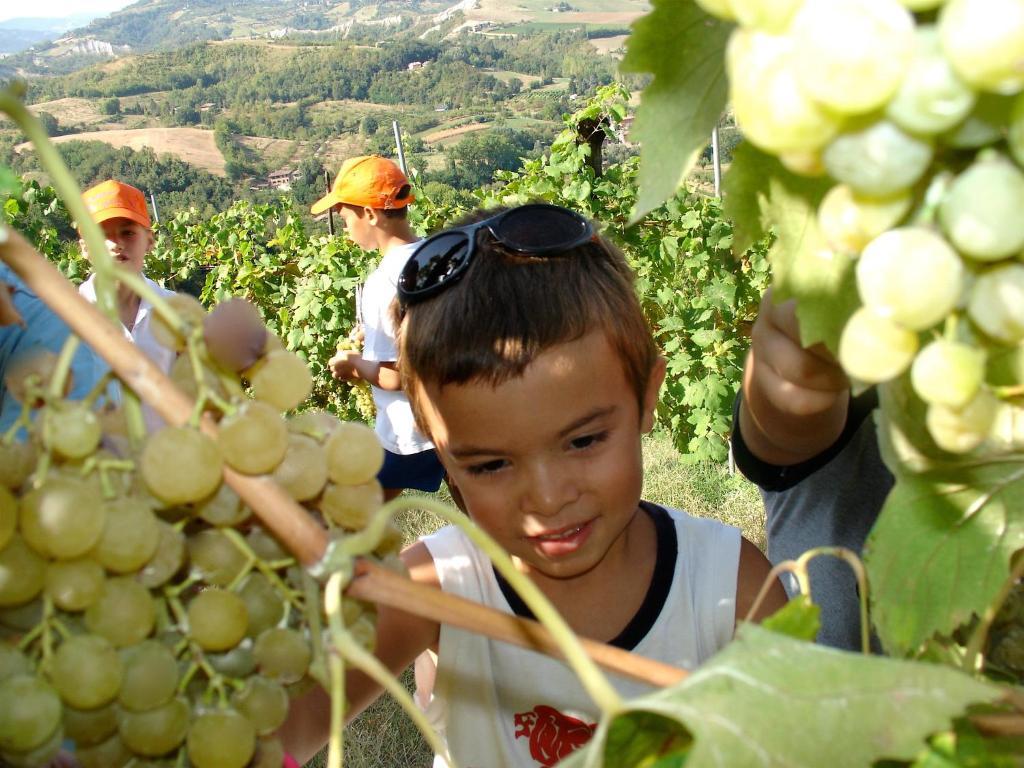 Agriturismo Ca' Isotta Castello di Serravalle Kültér fotó